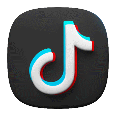 TikTok Icon